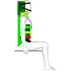 Immobilisateur de rachis SED