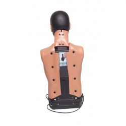 Mannequin de formation Ambu Man B Torse